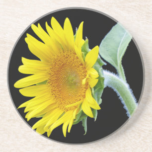 Small Sunflower Coaster