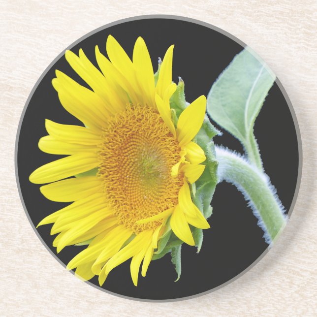 Small Sunflower Coaster (Front)