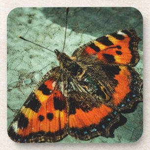Small Tortoiseshell Butterfly Birthday Grunge Coaster