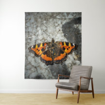 Small Tortoiseshell Butterfly 