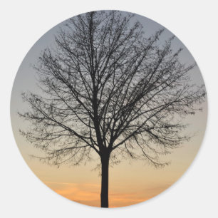 small tree sunset scenery, Baum Sonnenuntergang Classic Round Sticker