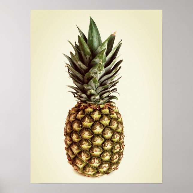 Small vintage pineapple fruit photo poster (Front)