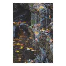 Small Waterfall Over Rocks