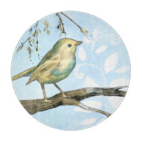 Small Yellow Bird Perched on a Branch Looking up