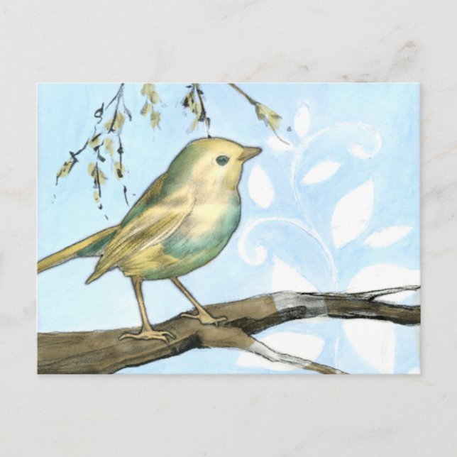 Small Yellow Bird Perched on a Branch Looking up Postcard (Front)