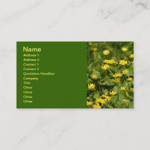 Small-yellow-flowers-in-grass1957 NATURE FLOWERS Y Business Card