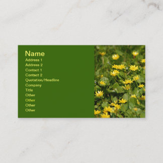 Small-yellow-flowers-in-grass1957 NATURE FLOWERS Y Business Card