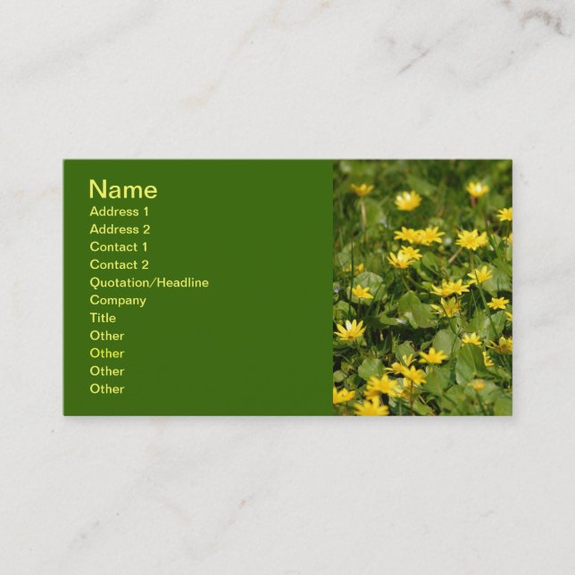 Small-yellow-flowers-in-grass1957 NATURE FLOWERS Y Business Card (Front)