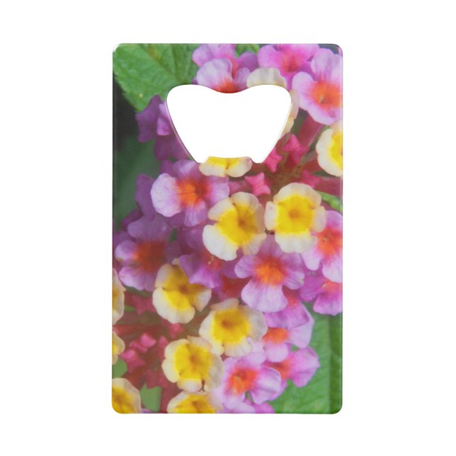 Small Yellow Pink and Purple Tropical Flowers (Front)