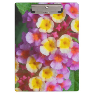 Small Yellow Pink and Purple Tropical Flowers Clipboard