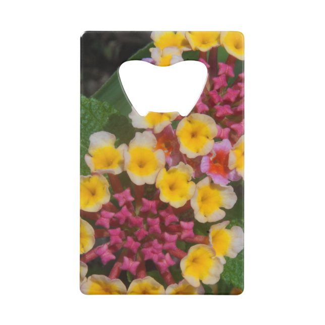 Small Yellow Tropical Flowers With Pink Buds (Front)