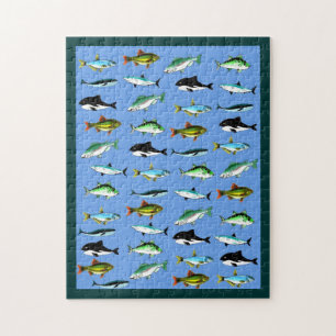 Smaller fish puzzle