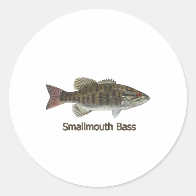 Smallmouth Bass Art (titled) Classic Round Sticker (Front)