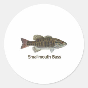 Smallmouth Bass Art (titled) Classic Round Sticker