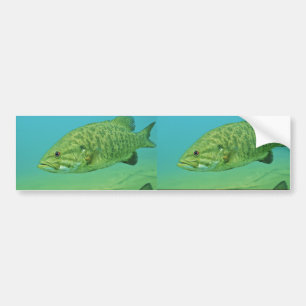Smallmouth Bass Bumper Sticker