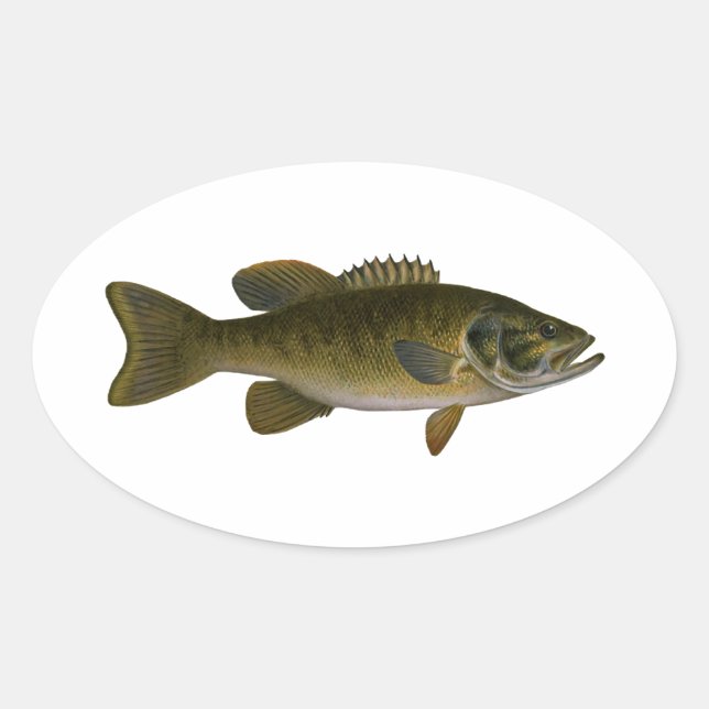 Smallmouth Bass Logo Oval Sticker (Front)