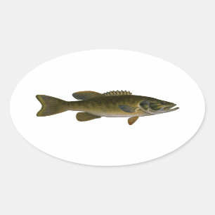Smallmouth Bass Logo Oval Sticker