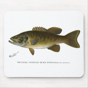 Smallmouth bass mouse mat