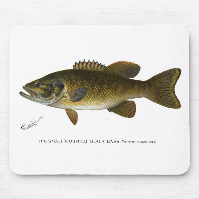 Smallmouth bass mouse mat (Front)