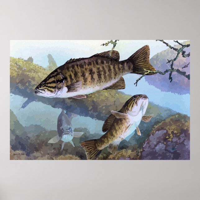 Smallmouth bass painting poster (Front)