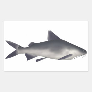 Smalltooth Catfish Rectangular Sticker