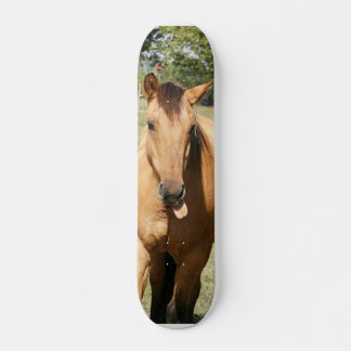 smart aleck horse skateboard