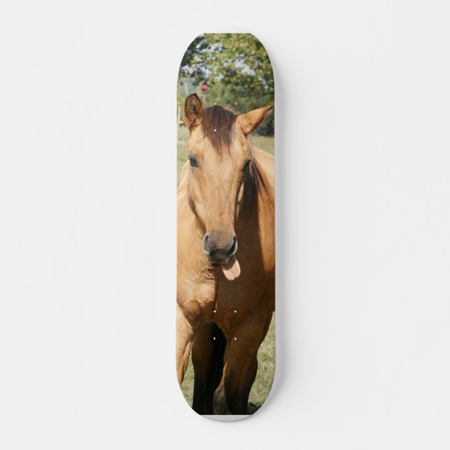 smart aleck horse skateboard (Front)
