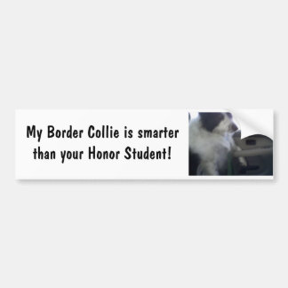 Smart Border Collie Bumper Sticker