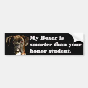 Smart boxer bumper sticker