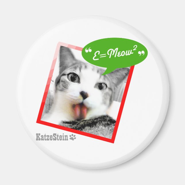 smart cat magnet (Front)