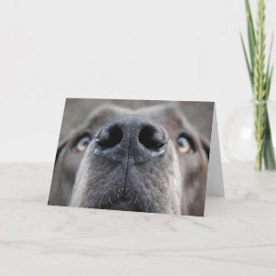 Smart customisable Great Dane card