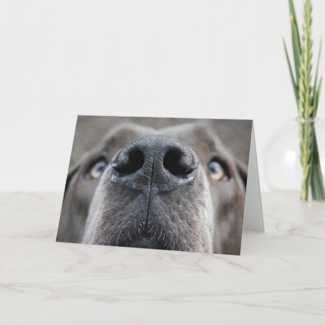 Smart customisable Great Dane card (Front)