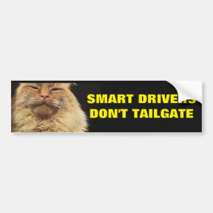 Smart Drivers Don't Tailgate. Mean Cat Bumper Sticker