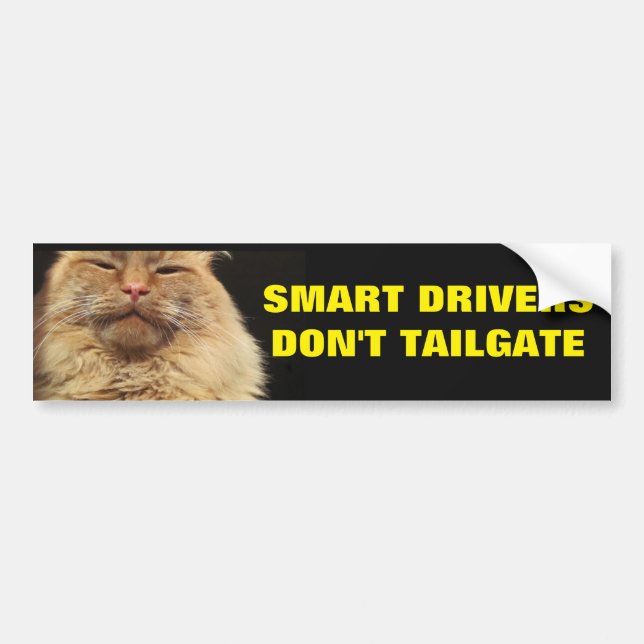 Smart Drivers Don't Tailgate. Mean Cat Bumper Sticker (Front)