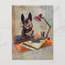 Smart Dutchie Dog