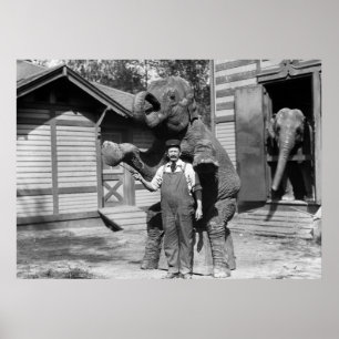 Smart Elephant Trick, 1910s Poster