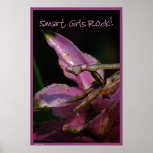 Smart Girls Poster