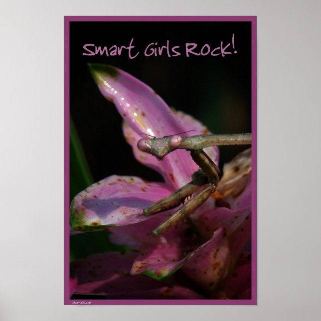 Smart Girls Poster (Front)