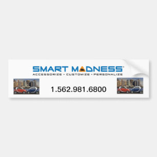SMART MADNESS BUMPER STICKER