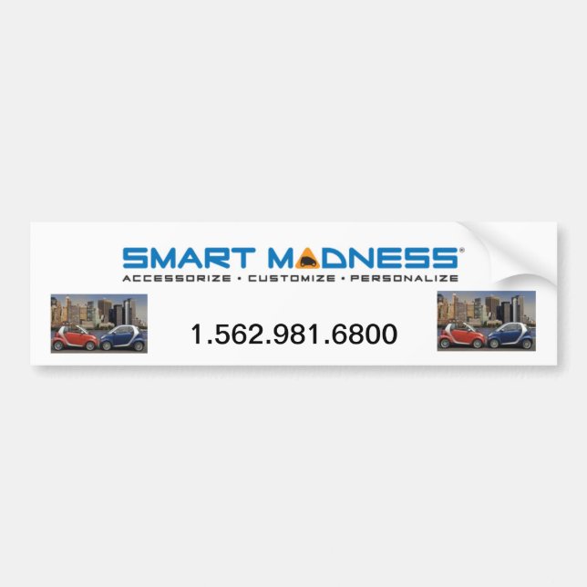 SMART MADNESS BUMPER STICKER (Front)