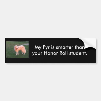 Smart Pyr Bumper Sticker