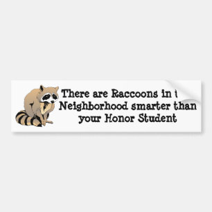 Smart Racoon Bumper Sticker