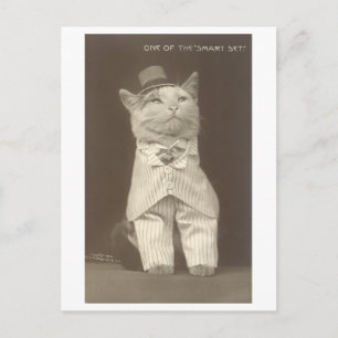"Smart Set" Vintage Dressed Up Cat Postcard