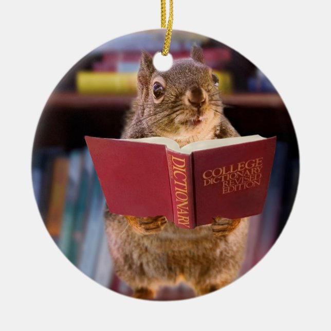 Smart Squirrel Reading a Dictionary Ceramic Tree Decoration (Front)