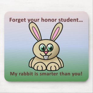Smarter Rabbit Mousepad 2