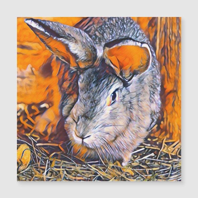 smartmix animal- bunny (Front)