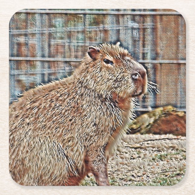 SmartMix Animal- Capybara Square Paper Coaster (Front)
