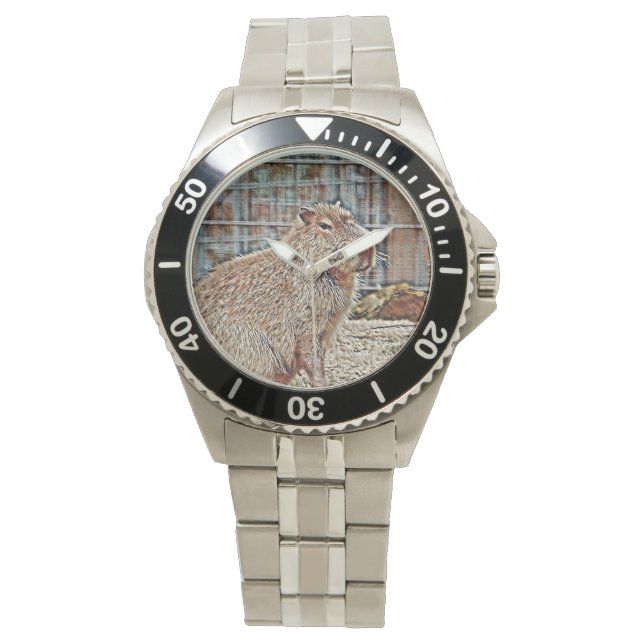SmartMix Animal- Capybara Watch (Front)