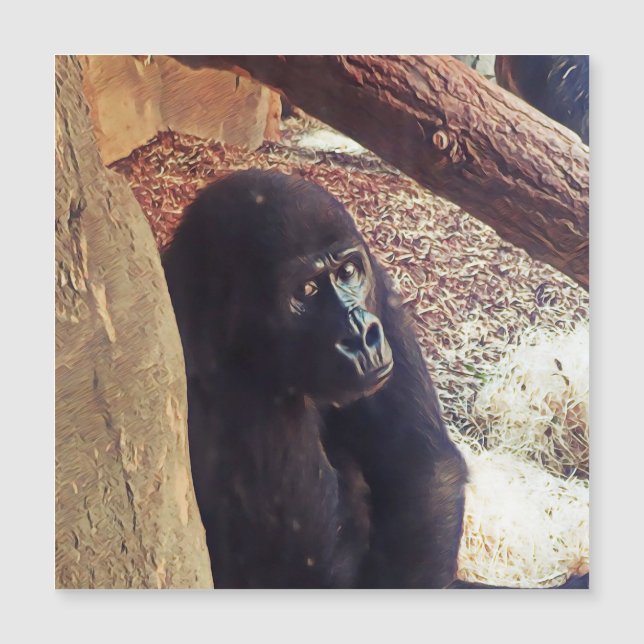 SmartMix Animal-Gorilla (Front)