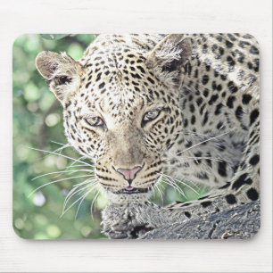 smartmix animal-leopard 2 mouse mat
